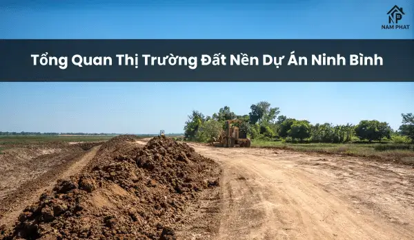 Tổng Quan Thị Trường Đất Nền Dự Án Ninh Bình 2025